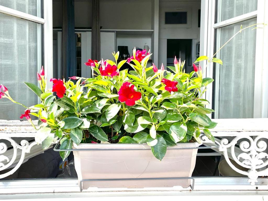 a pot of red flowers on a window sill at Le petit Orléanais in Orléans