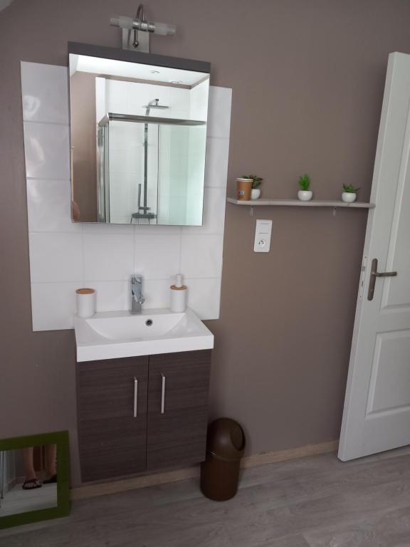 a bathroom with a sink and a mirror at Chambre d&#39;hôte de la baronne in Roz-sur-Couesnon