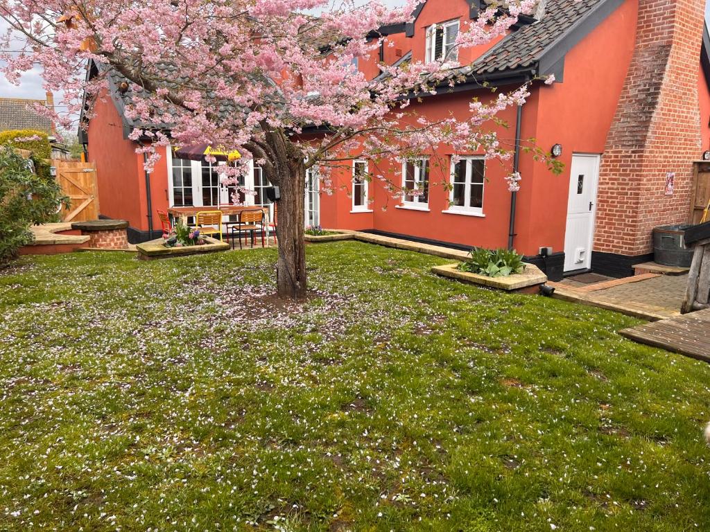 a tree in the yard of a house with pink flowers at Hound and Human Holiday Cottage - Redgrave, Suffolk in Diss