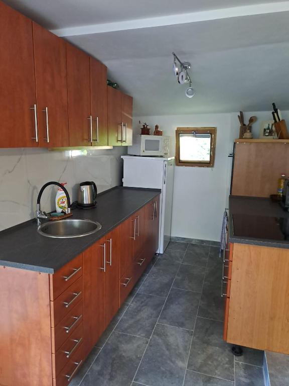 Kuchyň nebo kuchyňský kout v ubytování Apartmán Kutná Hora -Velký rybnik