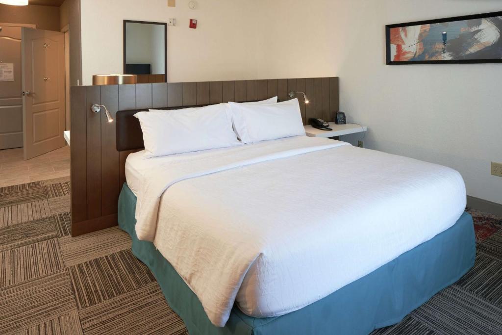 Hilton Garden Inn Evansville - King Room With Roll-In Shower - Mobility Access