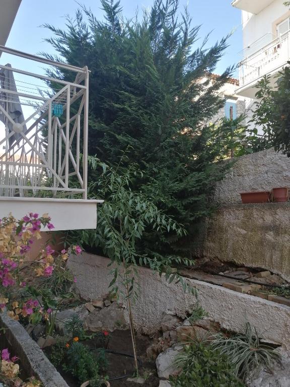 Zahrada ubytování Ta Adelfia