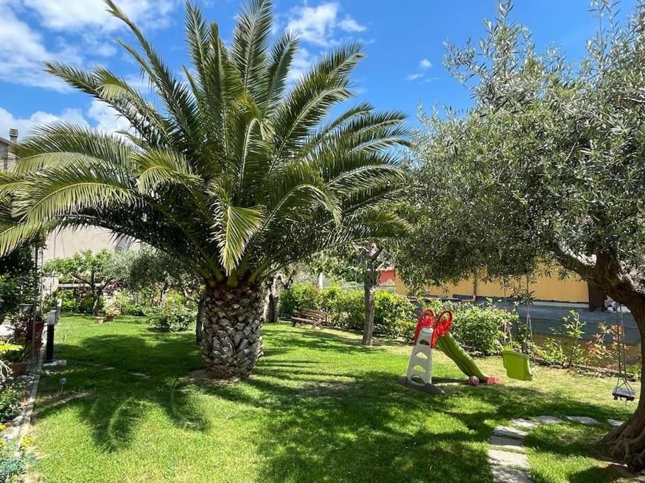 una palmera en un patio con parque infantil en La dimora delle Rose en Passignano sul Trasimeno