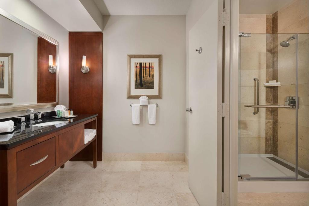 Hilton Houston Post Oak by the Galleria - 
