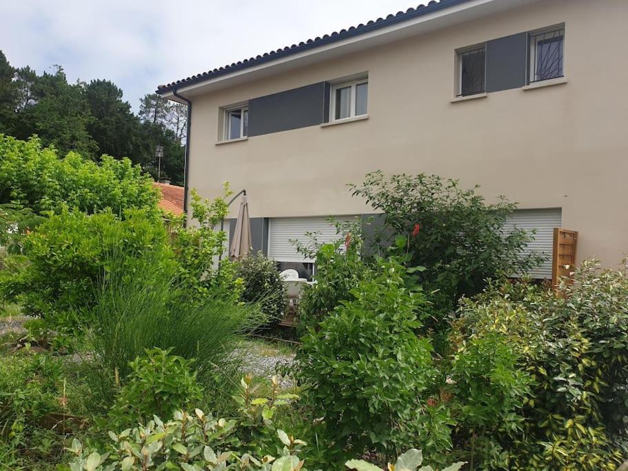 une maison avec beaucoup de plantes devant elle dans l'établissement appartement villa florecita, à Labenne