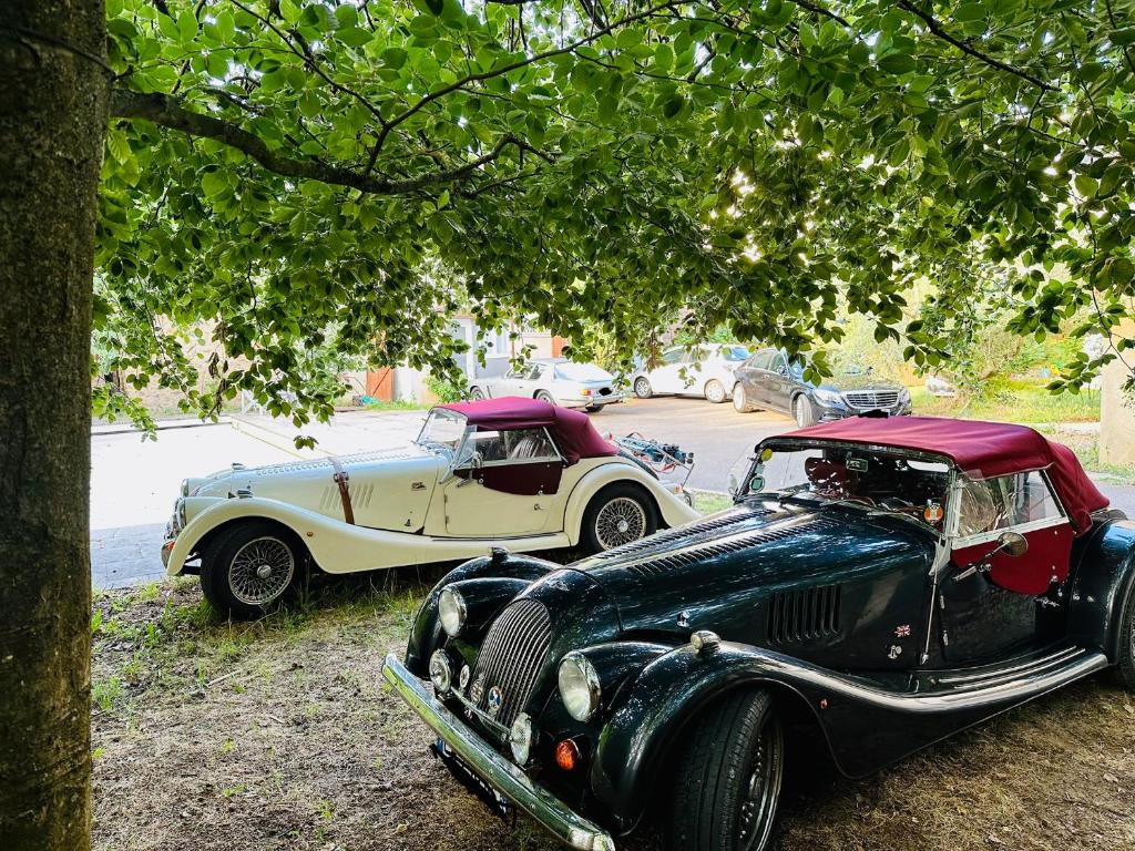 two old cars parked next to each other under a tree at Saint dénis Appartement 1 in Le Mans