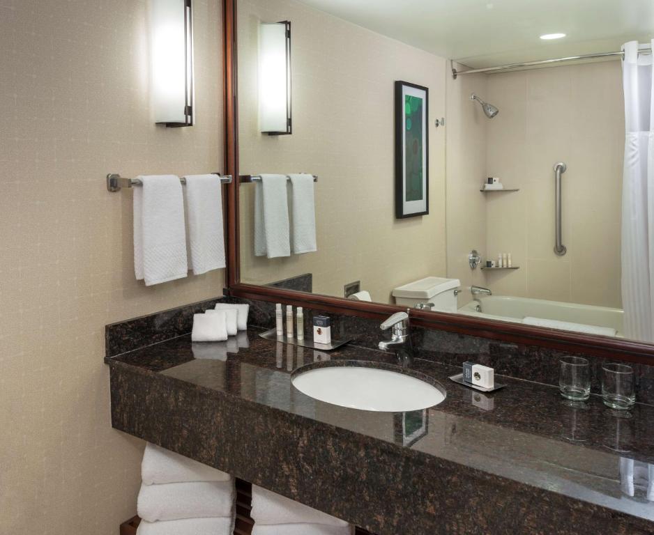 DoubleTree Suites by Hilton Hotel & Conference Center Chicago-Downers Grove - Dubbele Suite - Gehoor Toegankelijk