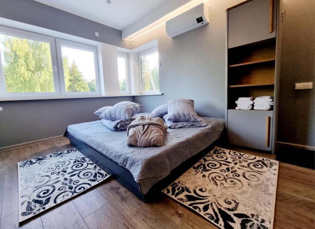 um quarto com uma cama e duas janelas em Park apartments em Rokiškis