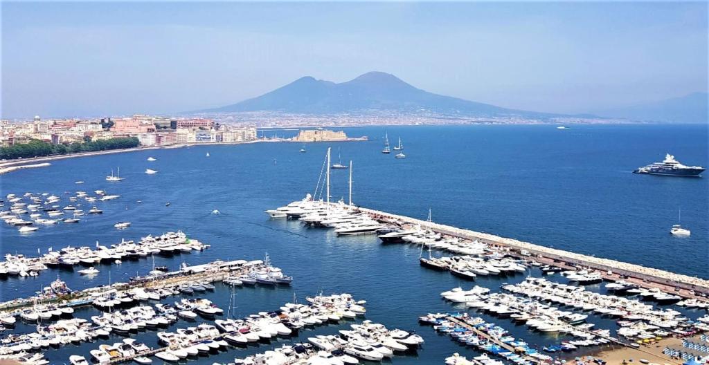 a bunch of boats are docked in a harbor at La Stella dei Venti B&B in Naples