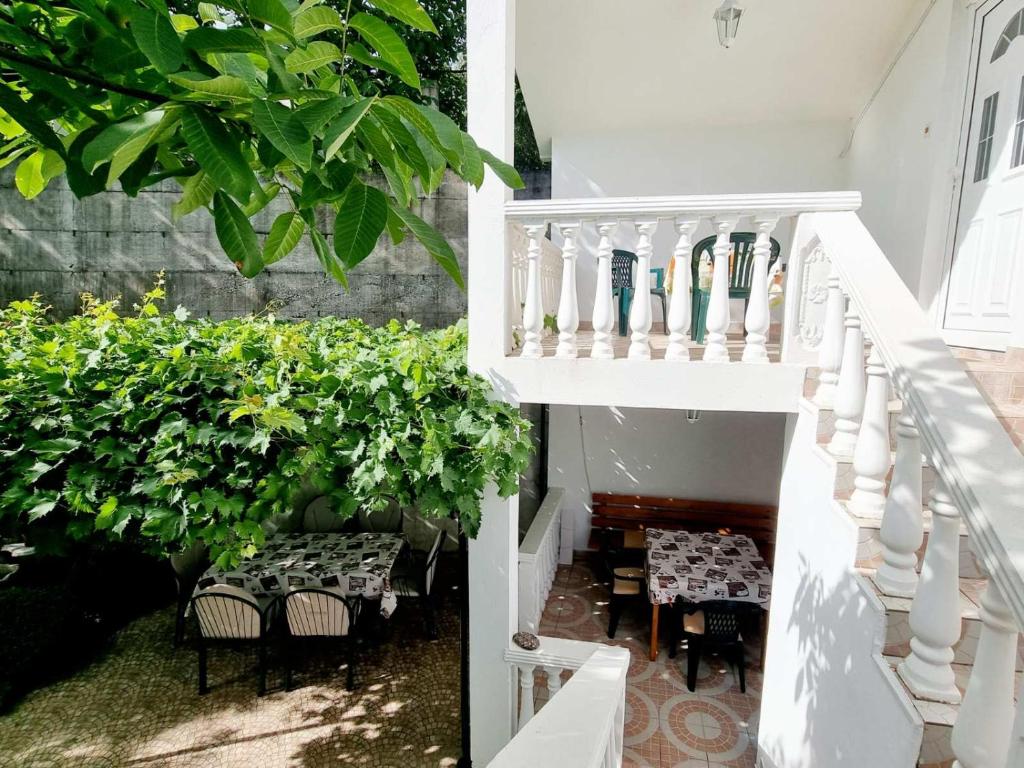Zahrada ubytování Cozy House Haj Nehaj