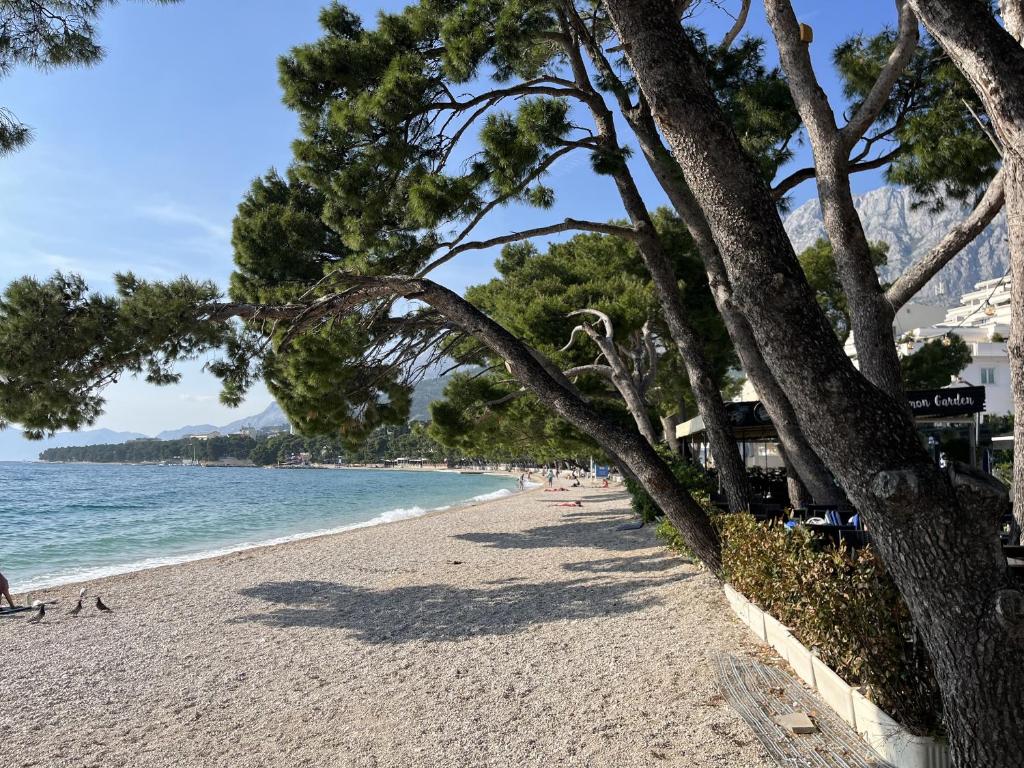 einen Strand mit Bäumen und Menschen im Wasser in der Unterkunft Apartment Leonardo in Makarska