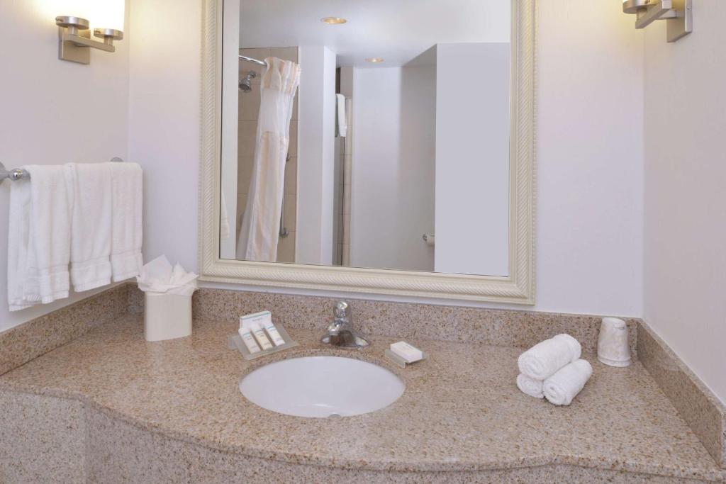Koupelna v ubytování Hilton Garden Inn Yuma Pivot Point