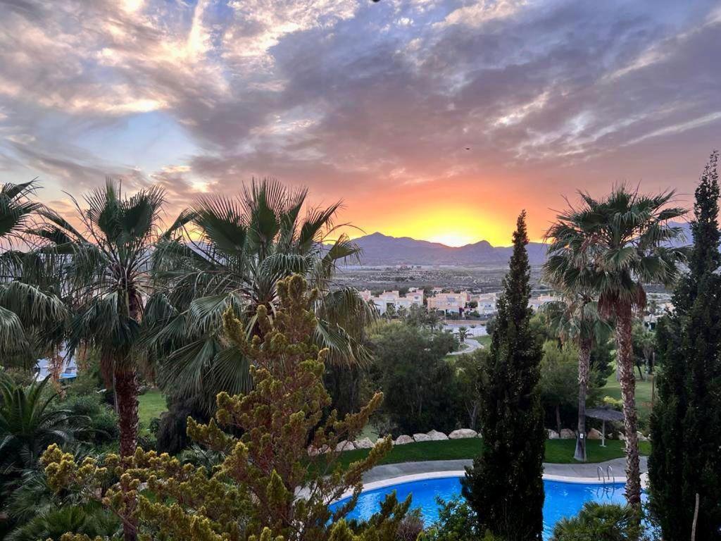 um pôr-do-sol sobre um resort com palmeiras e uma piscina em Suite Bonalba em Alicante