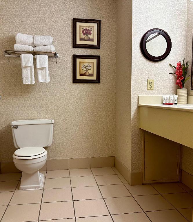 Red Lion Hotel Harrisburg Hershey - King Room - Disability Access