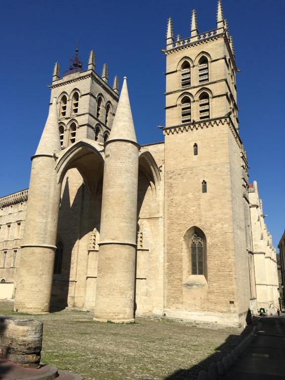 Duplex with cathedral view - Deluxe-Apartment