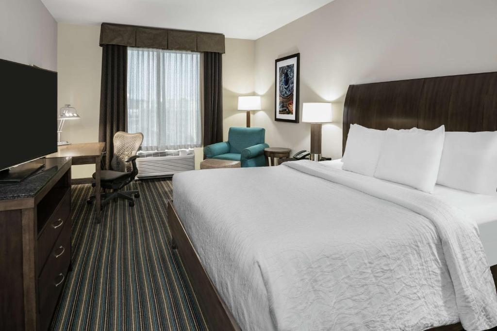Hilton Garden Inn San Antonio/Rim Pass Drive - Salle De Roi