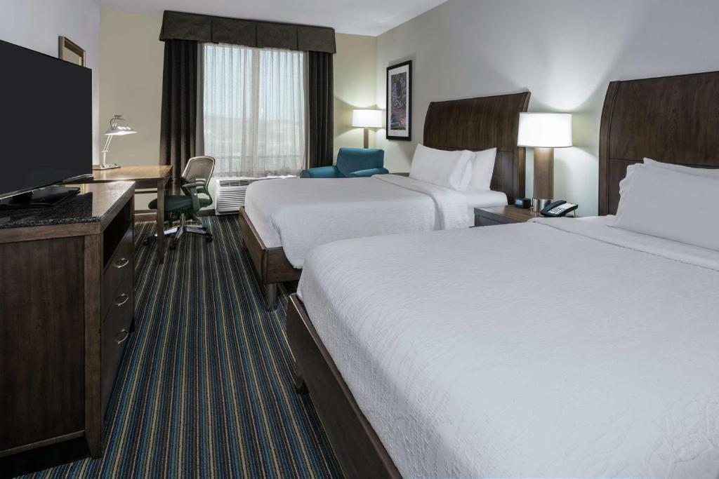 Hilton Garden Inn San Antonio/Rim Pass Drive - Chambre Queen Avec Deux Lits Queen