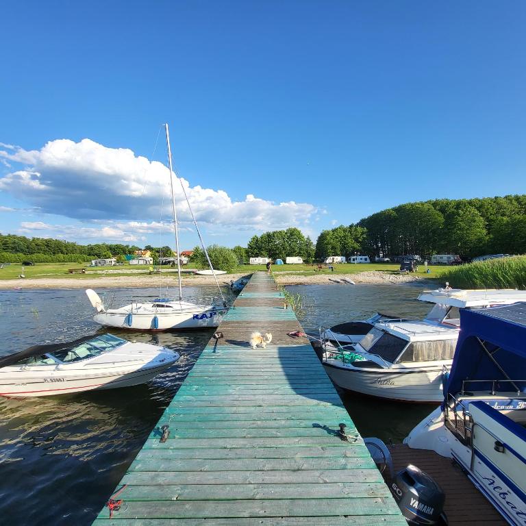 a group of boats docked at a dock in the water at Apartamenty Agro Roś in Pisz