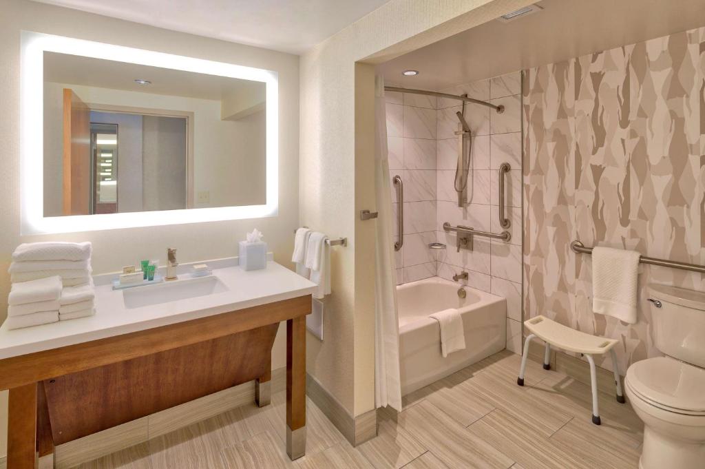 Hilton Norfolk The Main - 