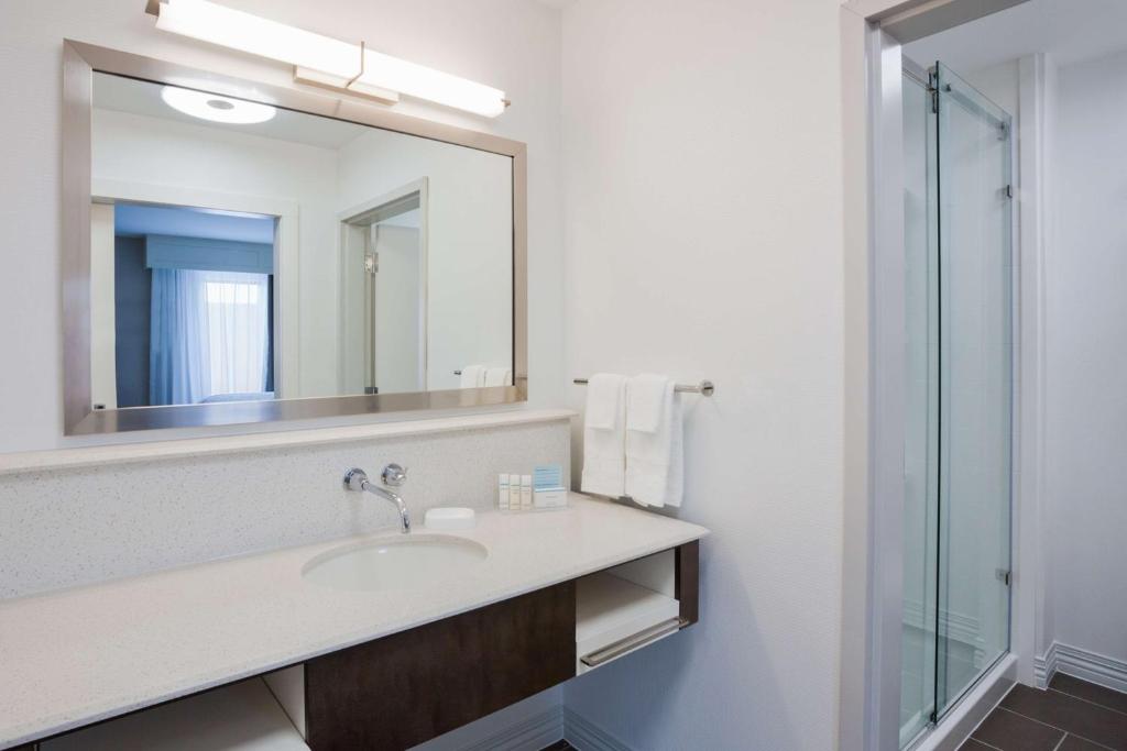Hampton Inn & Suites Sioux City South, IA - King Studio Suite с диван