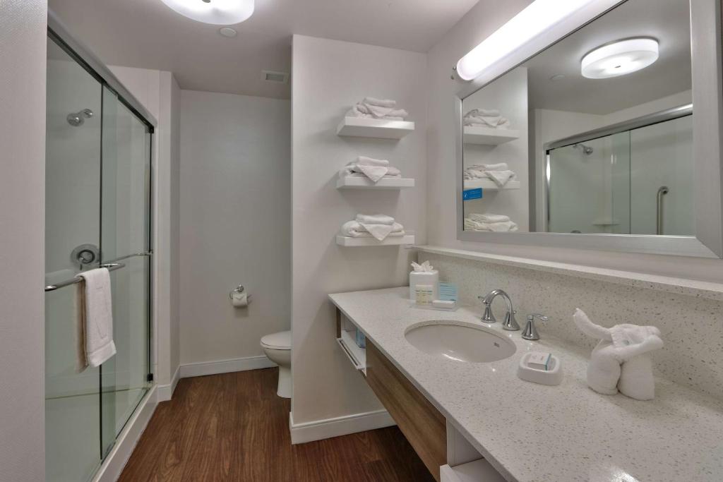 Hampton Inn & Suites Las Cruces I-10, Nm - Room King - Non-fumeur