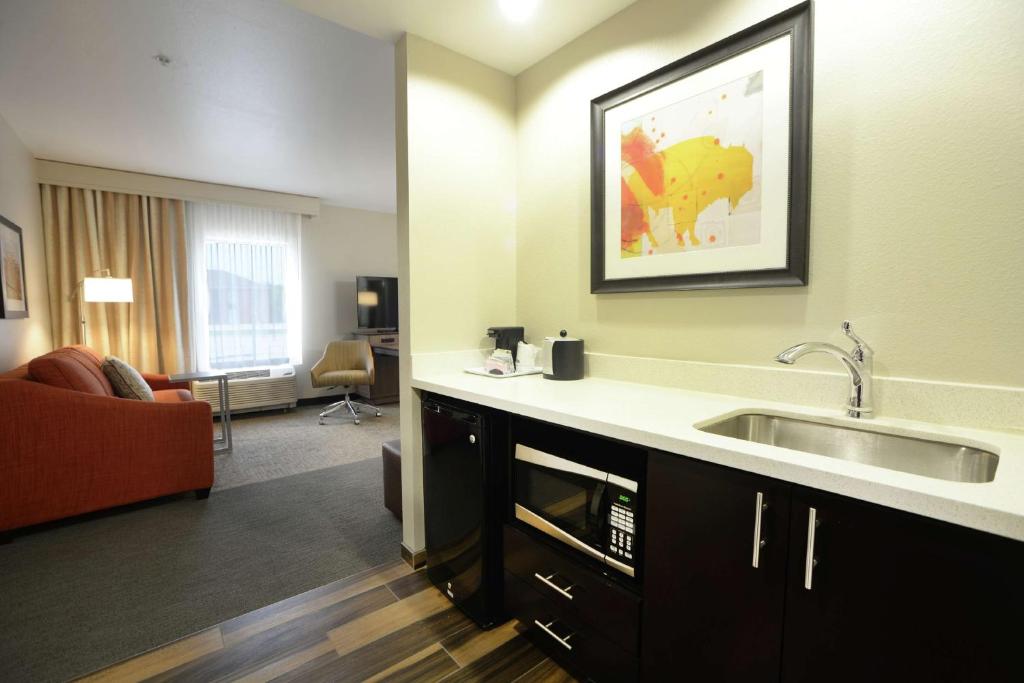 Hampton Inn & Suites Ponca City - Suite Estudio Con Cama Extragrande - No Fumadores