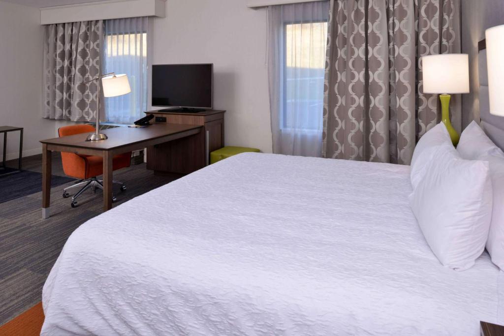 Hampton Inn & Suites Albany-East Greenbush, NY - King Studio Suite - No Fumador