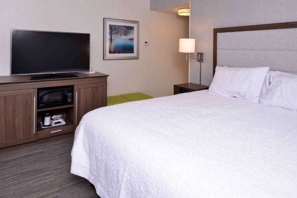 Hampton Inn & Suites Albany-East Greenbush, NY - Room King Con Sofá Cama - No Fumadores