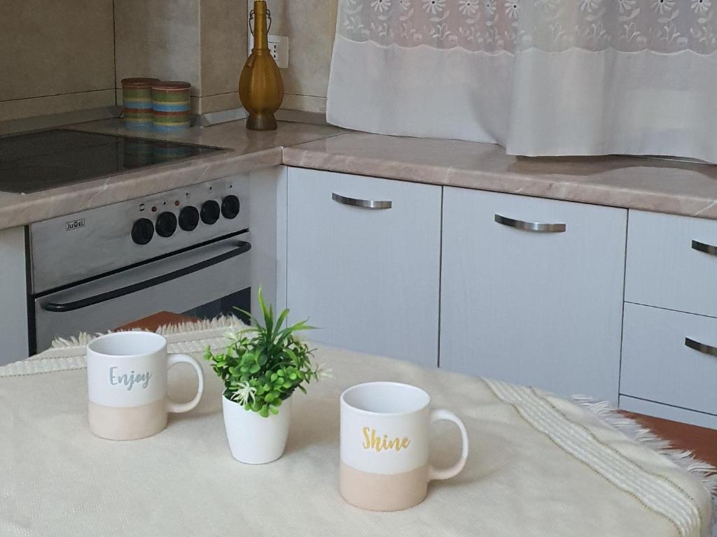 2 tasses assises sur un comptoir de cuisine avec 2 plantes dans l'établissement Alle's Myslym Shyri studio apartment, à Tirana