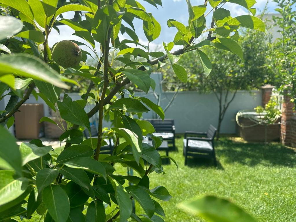 Lalzi Rental apartments - Imazhi 9