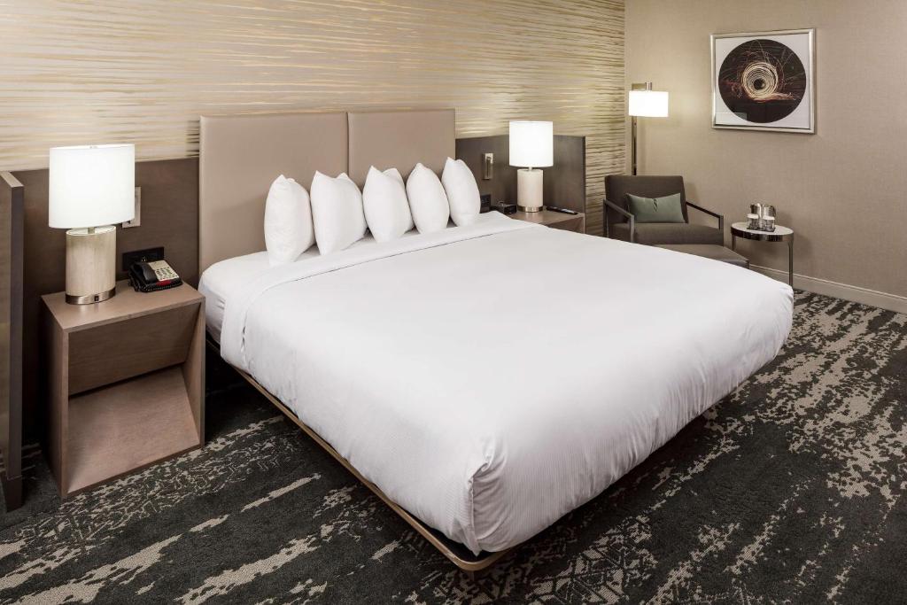 DoubleTree by Hilton Boston Logan Airport Chelsea - 特大号床间