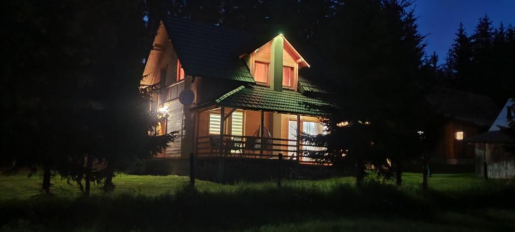 une grande maison avec un toit vert la nuit dans l'établissement Vila Pavle, à Bajina Bašta