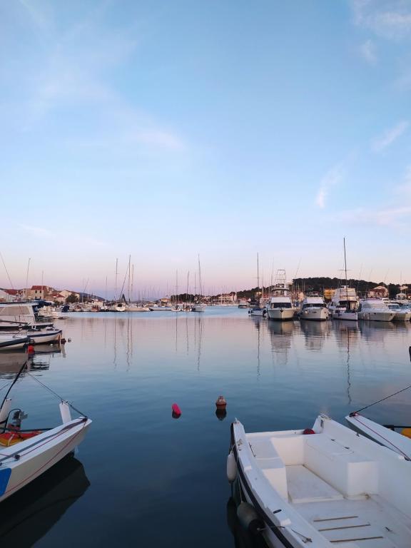 a group of boats are docked in a harbor at Villa Ines in Jezera