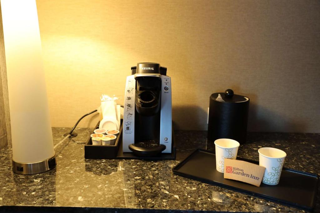 Hilton Garden Inn Austin Airport - King Room