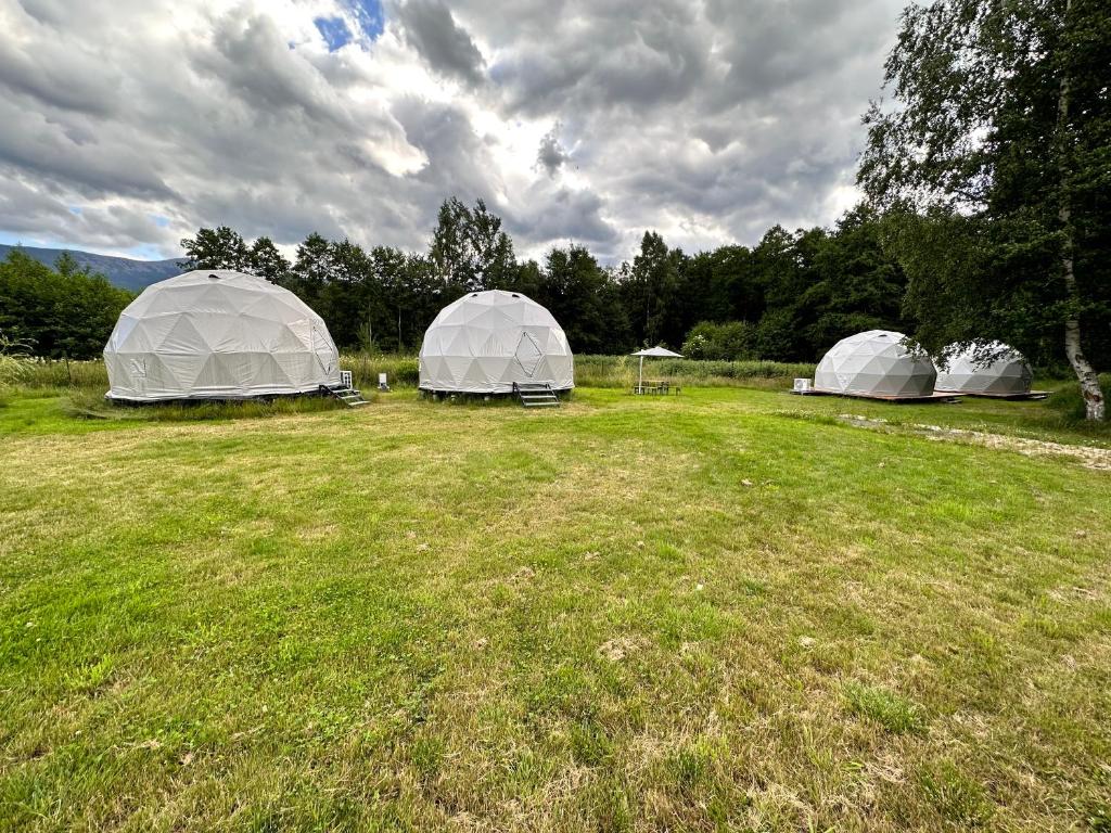 Příroda nedaleko luxury tent