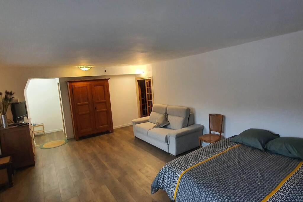 - une chambre avec un lit, un canapé et une chaise dans l'établissement Appartement en Résidence vu montagne, à Thyez