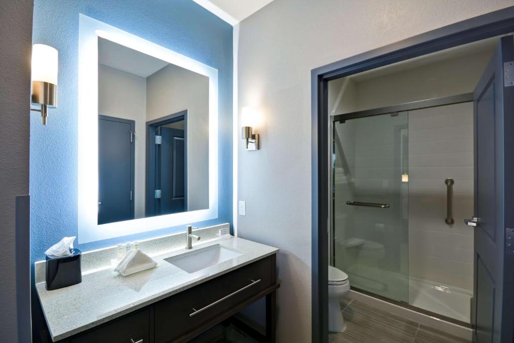 Koupelna v ubytování Homewood Suites by Hilton Conroe