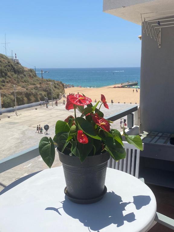 Albufeira Portugal Maria appt