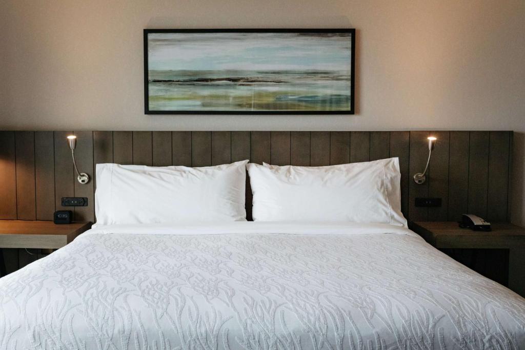 Hilton Garden Inn Madison Sun Prairie - Habitación King