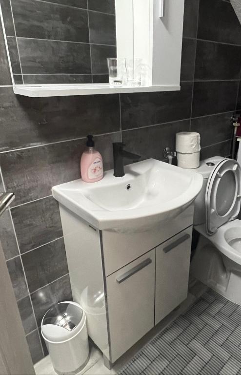 a bathroom with a sink and a toilet and a mirror at Apartments Linic in Nin