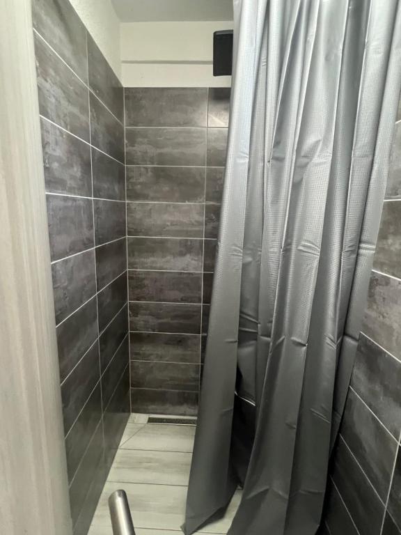 a shower with a shower curtain in a bathroom at Apartments Linic in Nin