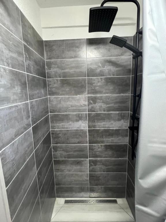 a shower with a shower head in a bathroom at Apartments Linic in Nin