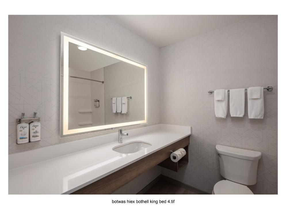 Koupelna v ubytování Holiday Inn Express Bothell by IHG