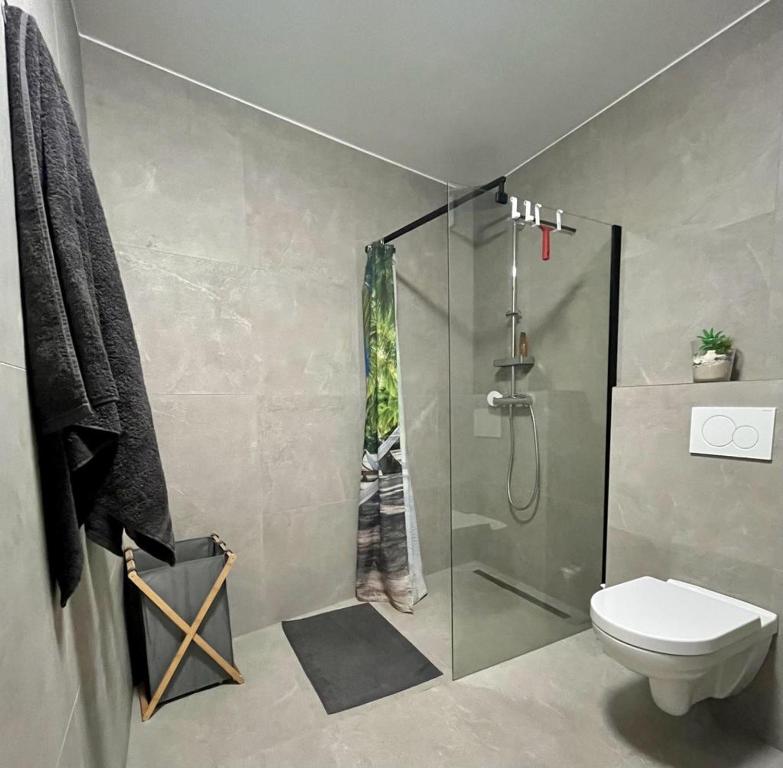 y baño con ducha y aseo. en Confortable appart. en résidence (rez-de-chaussé), en Dudelange