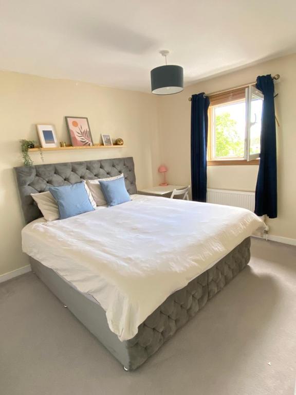 a bedroom with a large white bed with blue pillows at Cozy bedroom in shared accommodation with free parking in Edinburgh