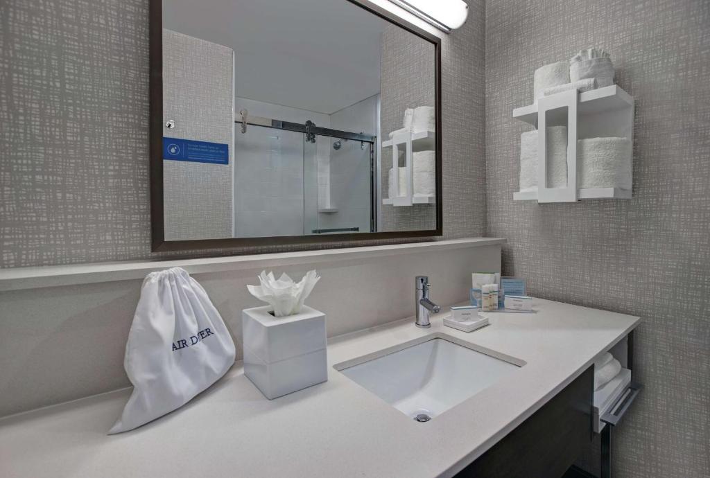 Koupelna v ubytování Hampton Inn Weslaco