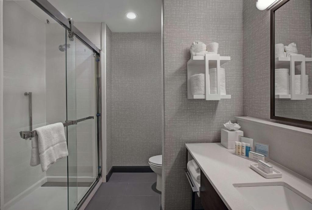 Koupelna v ubytování Hampton Inn Weslaco