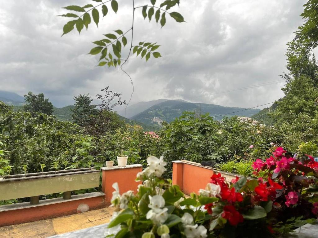 A general mountain view or a mountain view taken from A villát