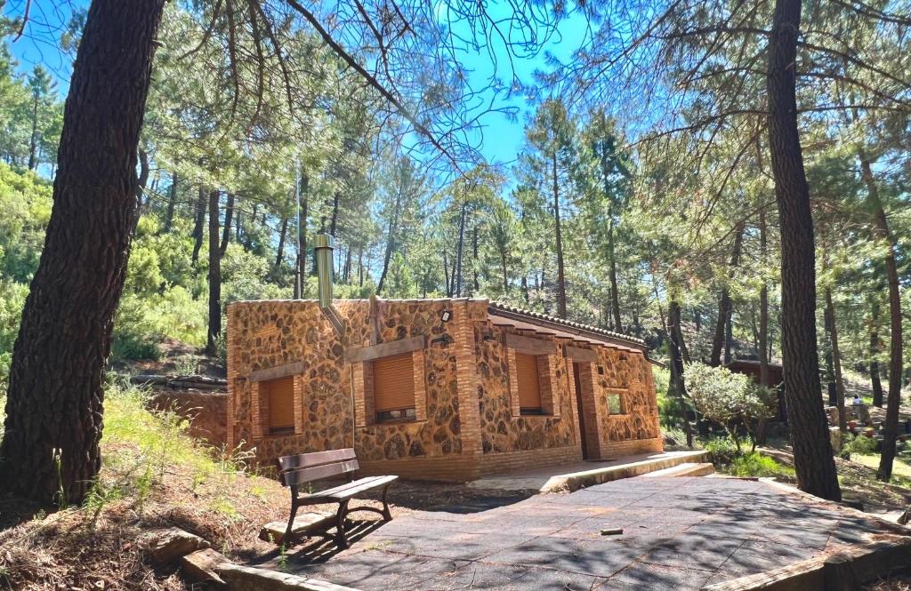 una cabaña de madera en el bosque con un banco delante en Casa Rural Riópar, luxury in nature, en Riópar