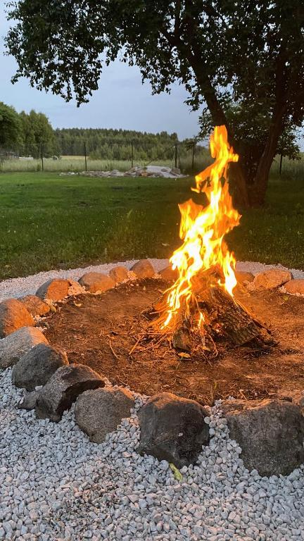 Fotografie z fotogalerie ubytování Siedlisko pod Kasztanem v destinaci Garwolin